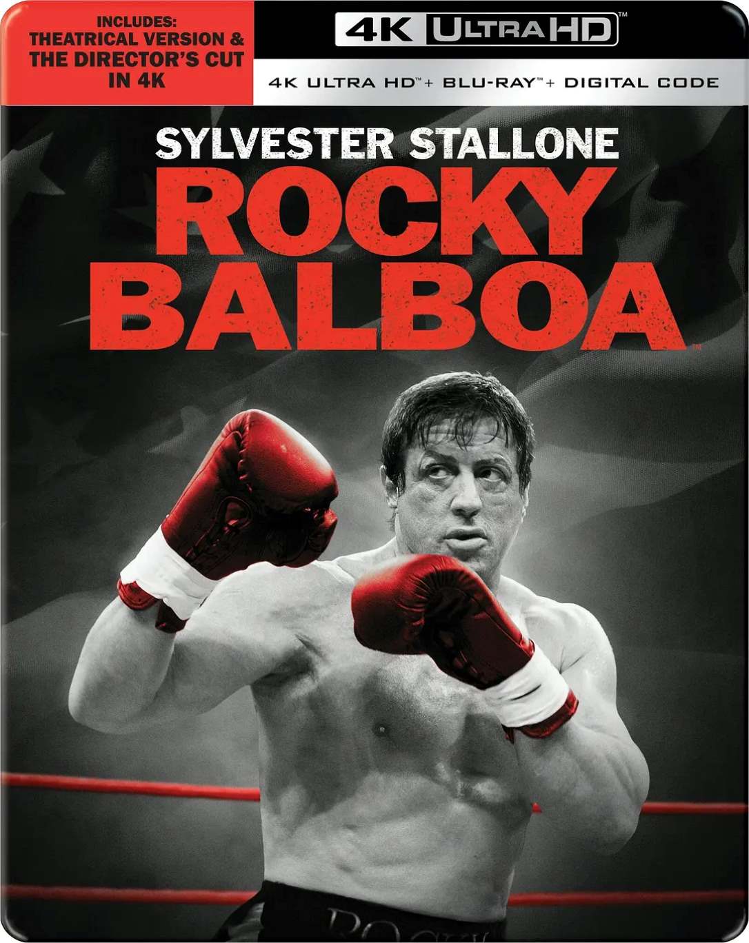 洛奇6：永远的拳王