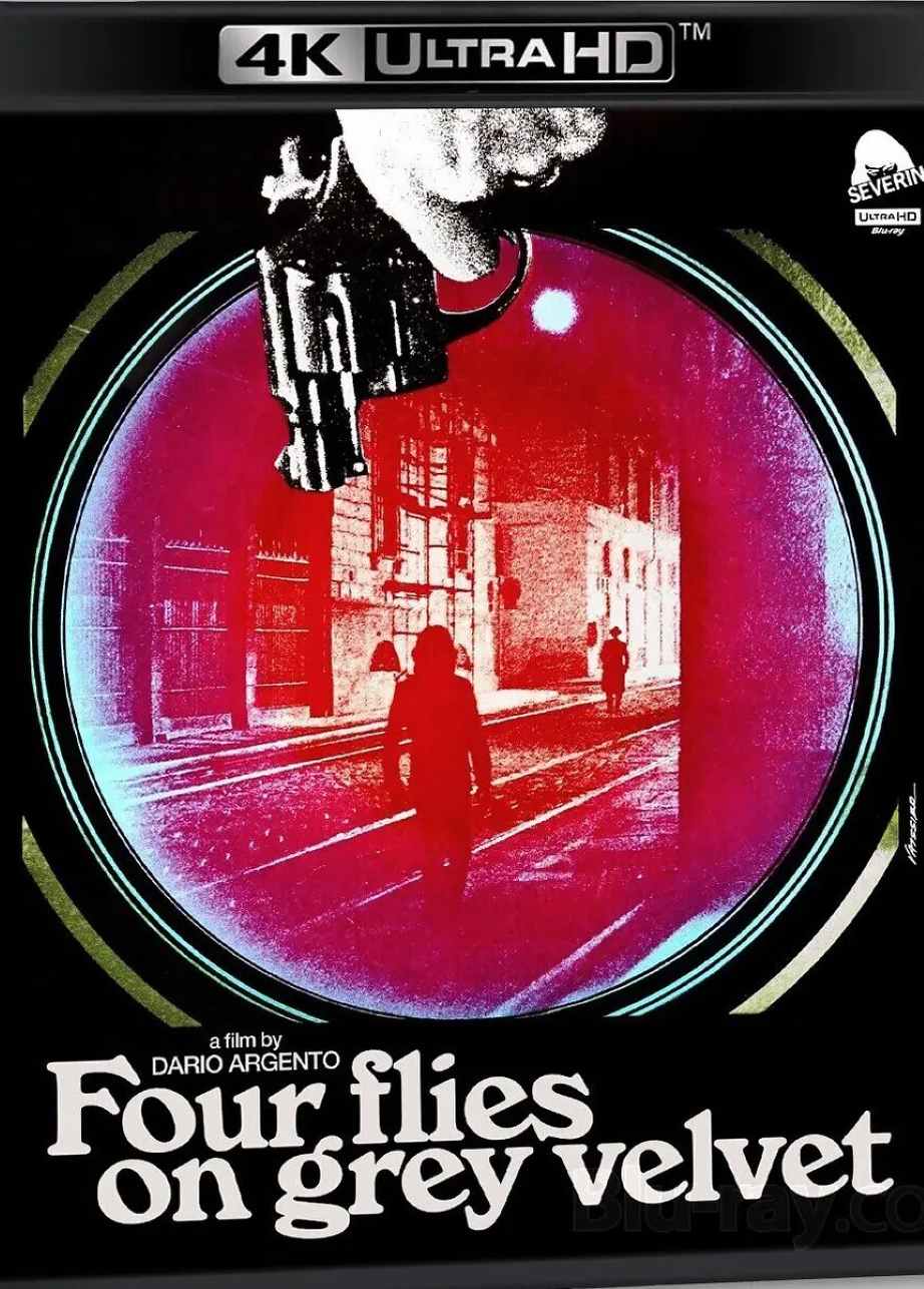 灰天鹅绒上的四只苍蝇