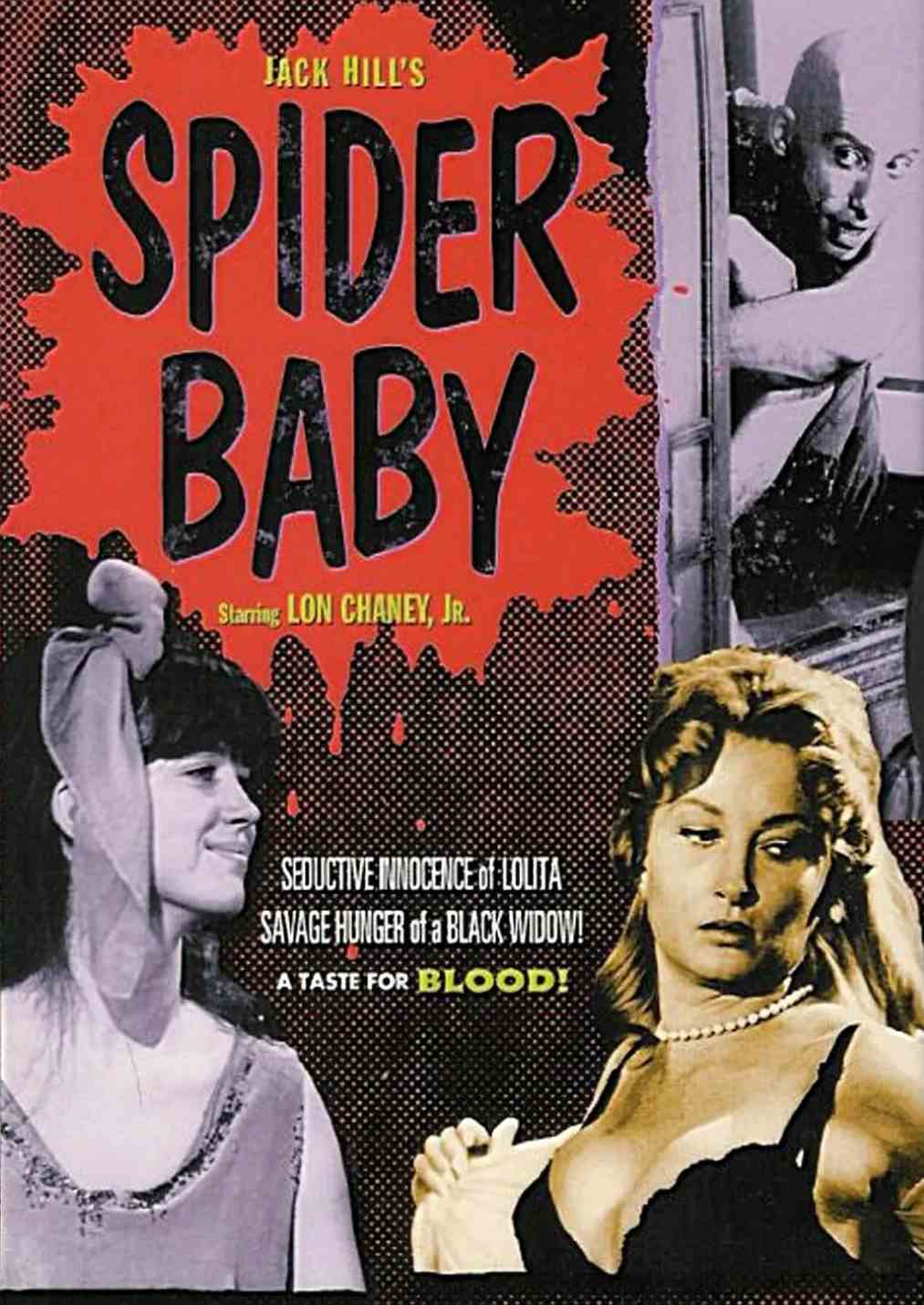 蜘蛛宝宝，或你所听说过最疯狂的故事