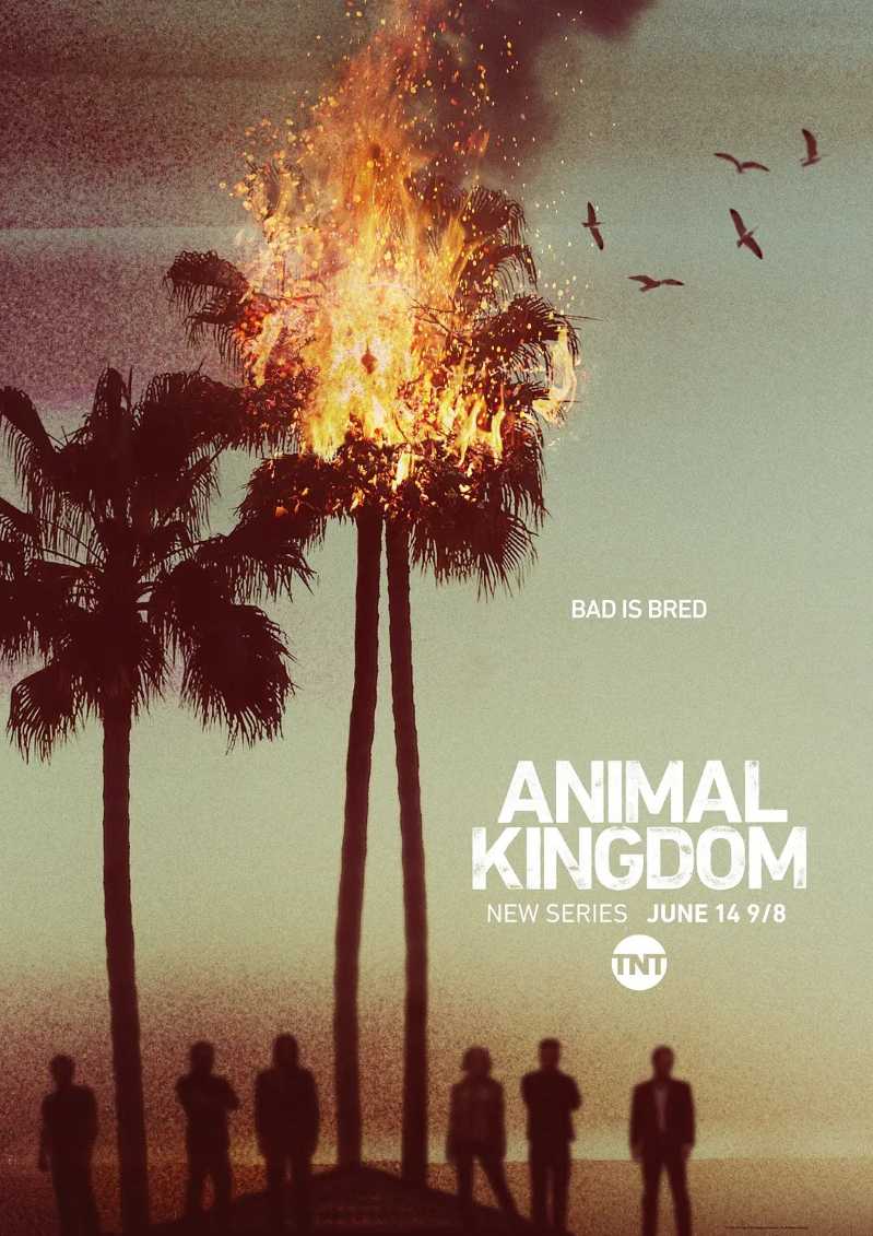 野兽家族 第一季