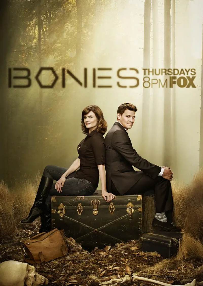 识骨寻踪 第八季